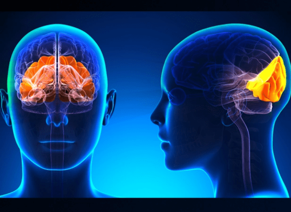 cupping for headaches