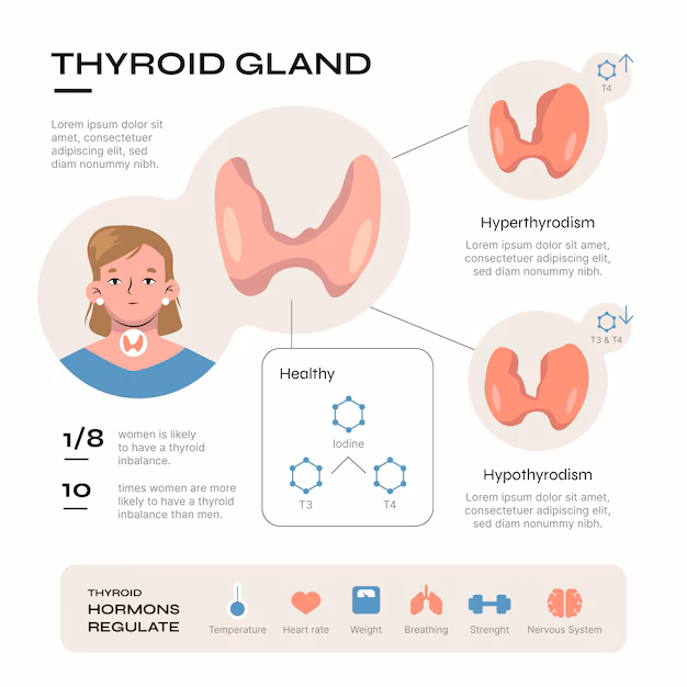Hijama Points For Thyroid
